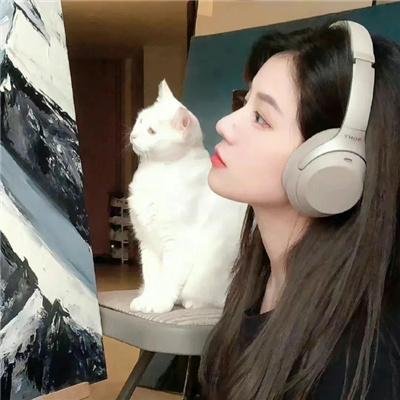 苦茶香 海报